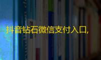 抖音钻石微信支付入口,ks业务低价自助下单转发 - 500有效粉丝一小时搞定 - 抖音点赞秒到账